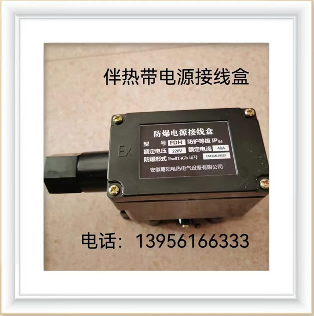 伴熱帶電源接線盒